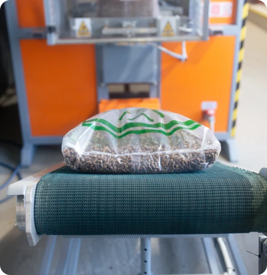 Imagen de Transportadores Conveyors