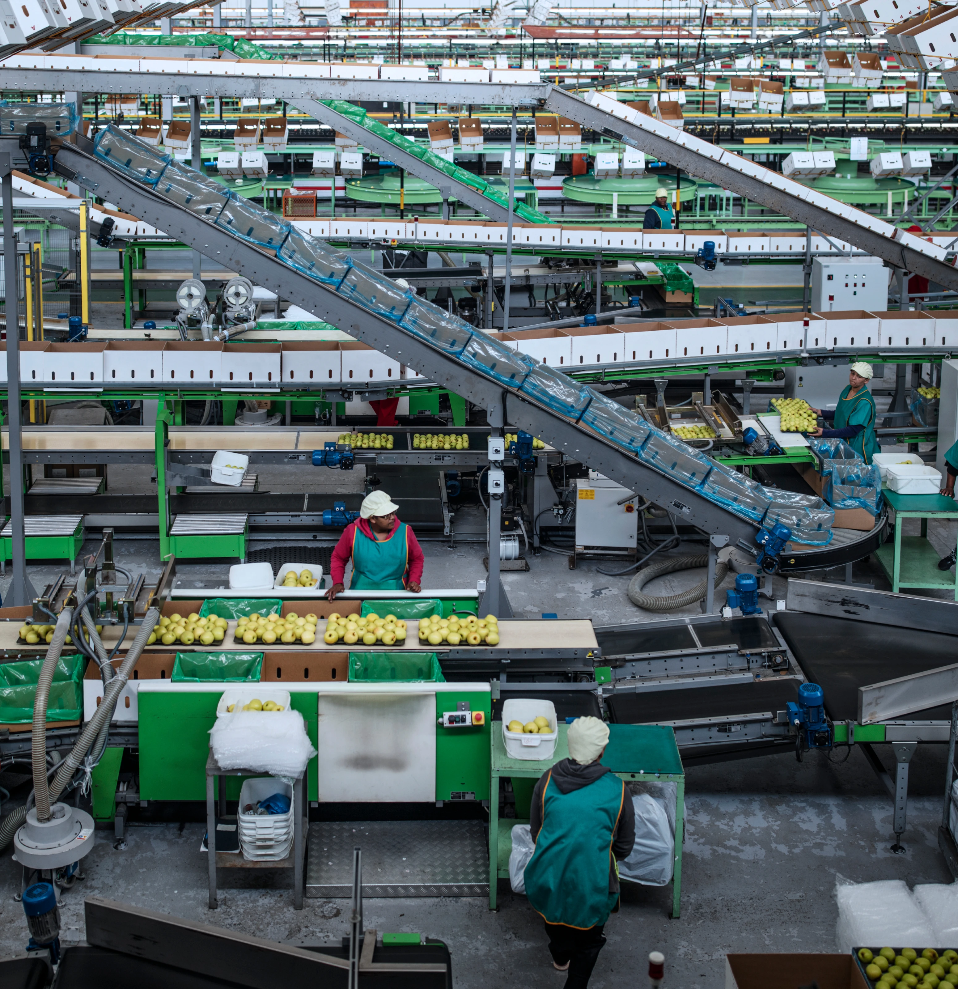 Mejora la eficiencia de tu producción con Servicios de Pailería
