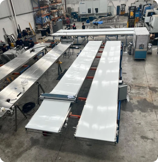 Imagen de Transportadores Conveyors